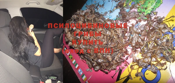 индика Балахна