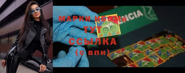 индика Балахна