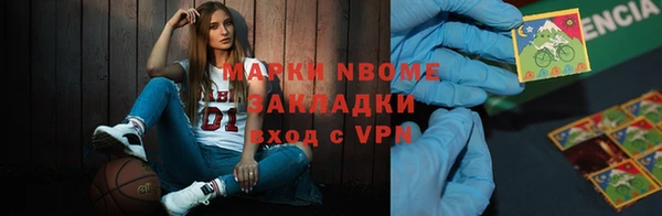 индика Балахна