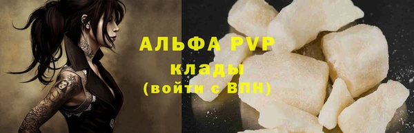 индика Балахна