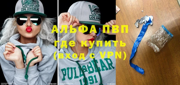 индика Балахна