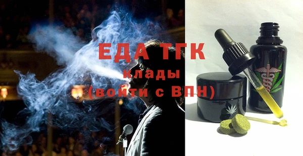 индика Балахна